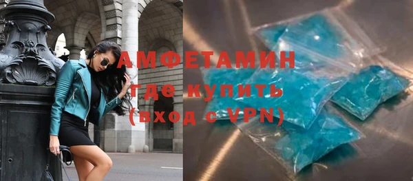 мдпв Инсар