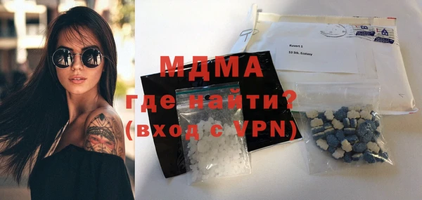 индика Инта