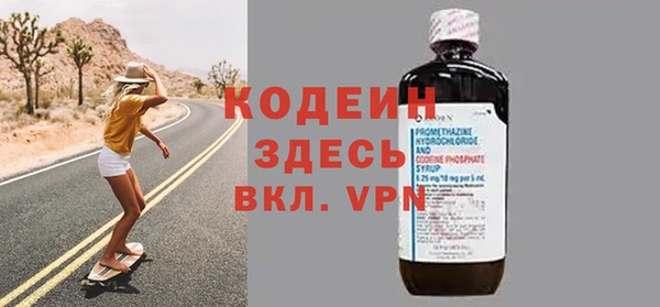 мдпв Инсар