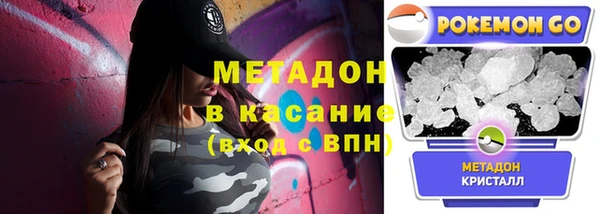 мдпв Инсар