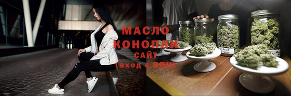 мдпв Инсар