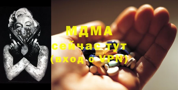 мдпв Инсар