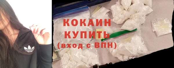 индика Инта