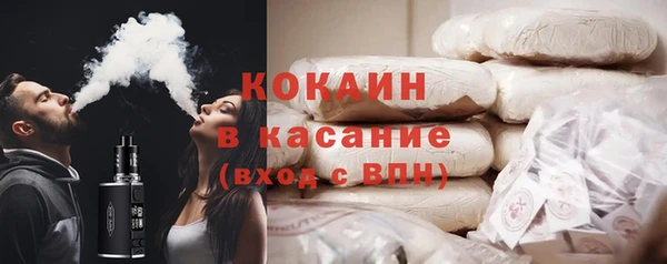 мдпв Инсар