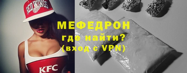 индика Инта