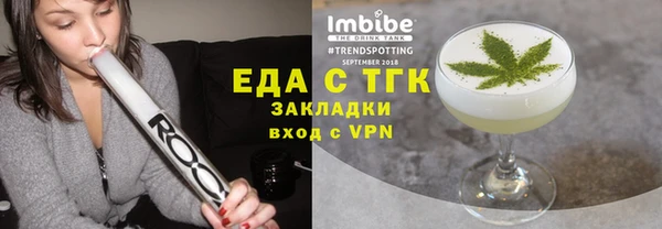 мдпв Инсар