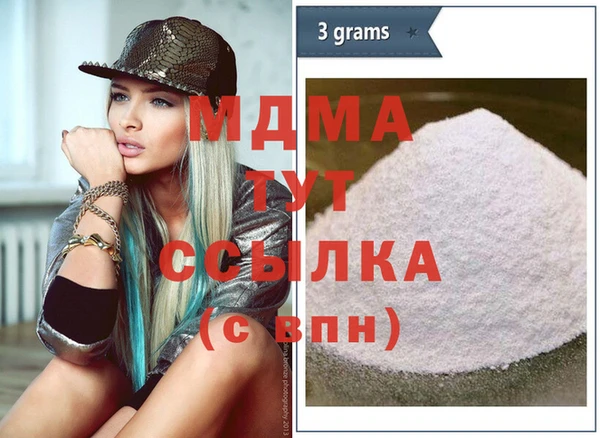 индика Инта