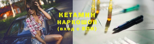 индика Инта
