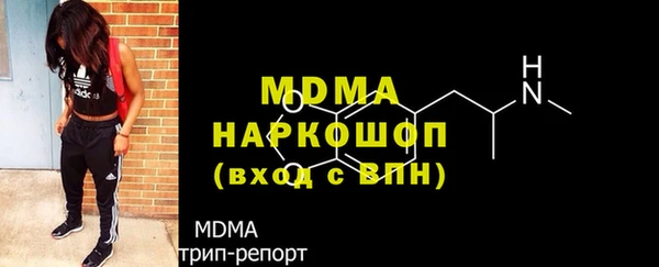 мдпв Инсар