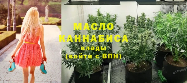 индика Инта