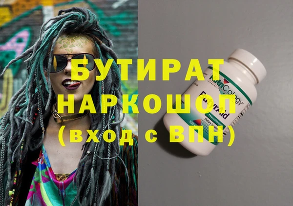 мдпв Инсар
