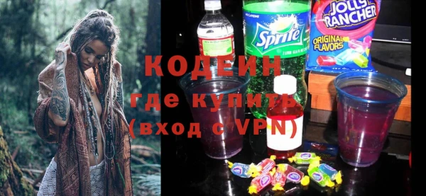 индика Инта