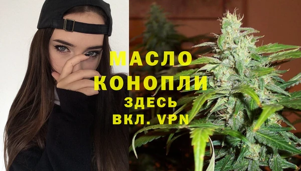 мдпв Инсар