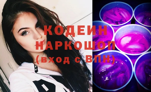 индика Инта