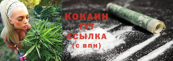 индика Инта