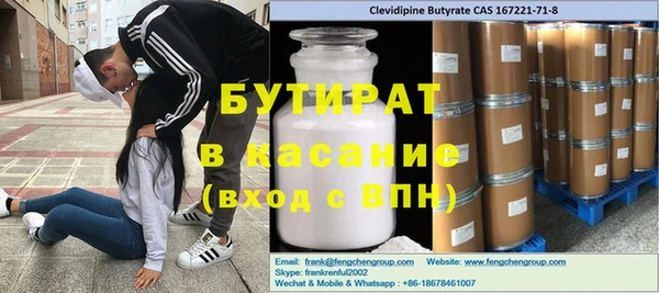 индика Инта