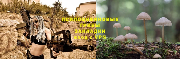 индика Инта