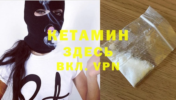 индика Инта
