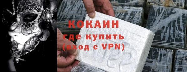 индика Инта
