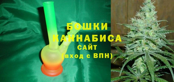 индика Инта