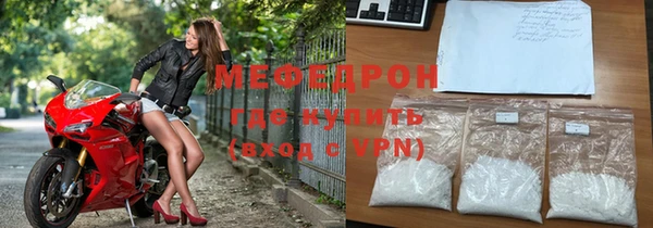 индика Инта
