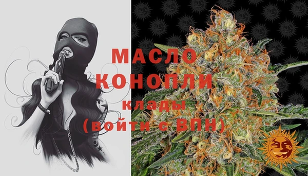 мдпв Инсар
