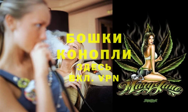 мдпв Инсар